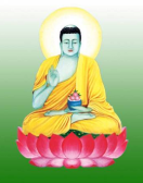 Duoc Su Luu Ly Vuong Quang