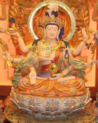 Phat Dinh Phat Mau