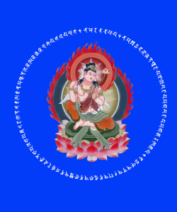 BẠCH THÂN QUÁN TỰ TẠI CHÚ LUÂN