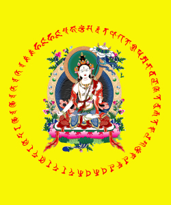 ĐẠI BẠCH TẢN CÁI HẰNG THƯỜNG TRÌ TÂM CHÚ