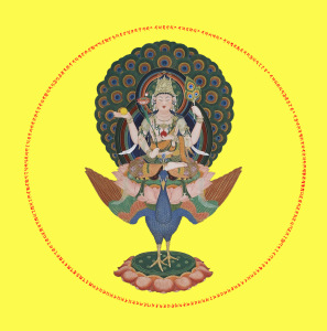 ĐẠI KHỔNG TƯỚC MINH CHÚ (Mahā-mayūra-vidya)