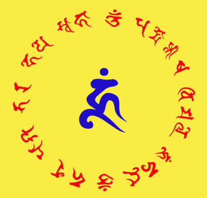 nhu y 1